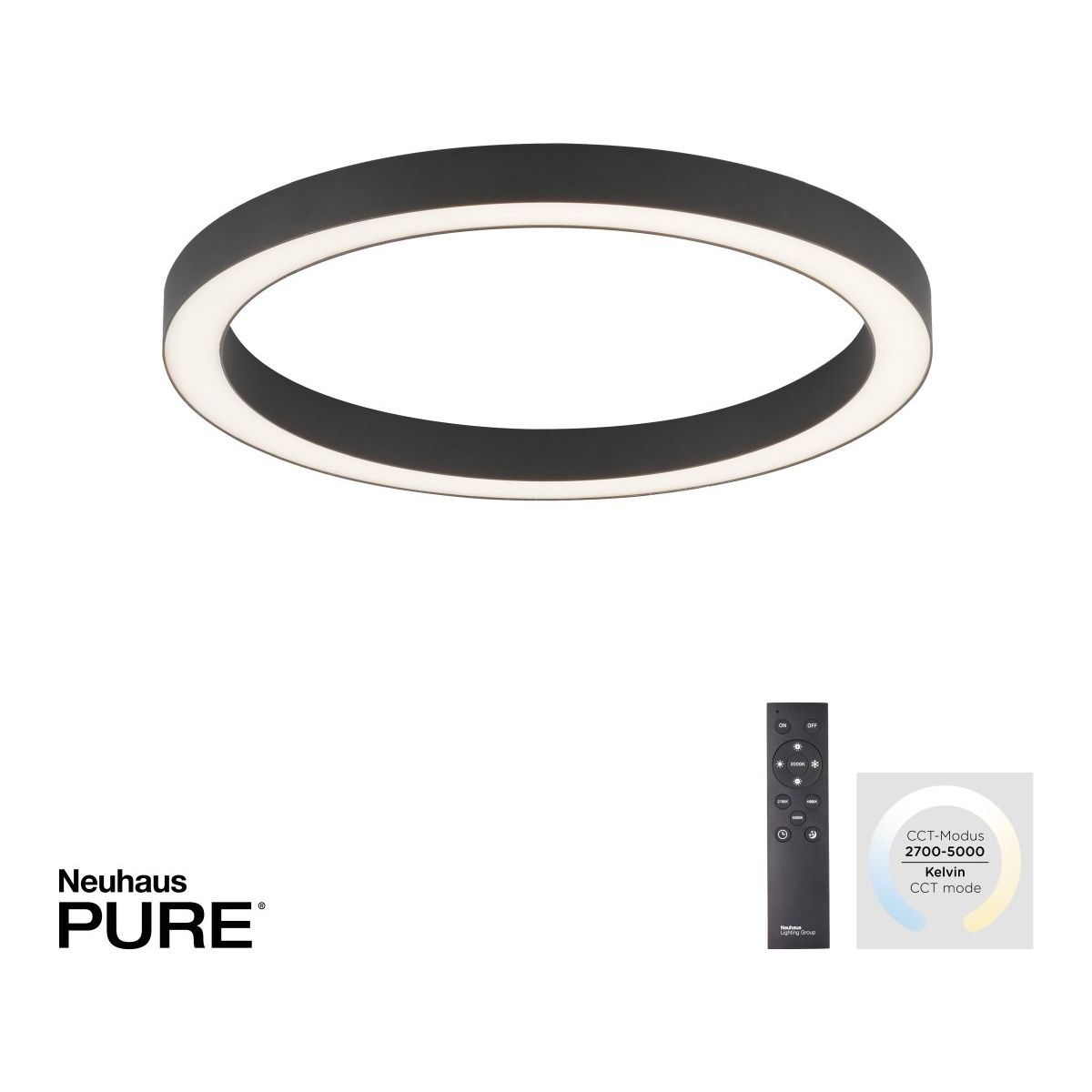 Paul Neuhaus-PURE-LINES-6309-13-PLN6309-13
