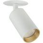 TK Lighting AMIS 10810 Reflektor 1x10W/GU10 IP20