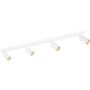 TK Lighting AMIS 10797 Reflektor 4x10W/GU10 IP20