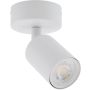 TK Lighting NEX 11368 Reflektor 1x10W/GU10 IP20