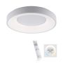 Paul Neuhaus ANIKA 14326-16 Plafonjera 1x26,5W/LED CCT 2700K-5000K 1900LM IP20