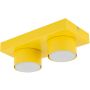 TK Lighting BRIX 11289 Stropna svjetiljka 2x11W/gx53 IP20