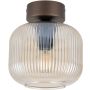 TK Lighting SALVIA 11358 Stropna svjetiljka