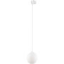 TK Lighting TRACER 3f 11661 Šinski reflektor 1x8W/G9 IP20