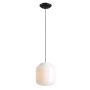 Aldex FLASK ORCHID L 8500G1_L Visilica 1x15W/E27