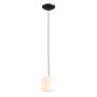 Aldex FLASK ORCHID S 8500G1_S Visilica 1x10W/E14