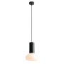 Aldex FLO MOSS S 7000G26_S Visilica 1x10W/E14