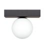 Zuma Line SPHERE 1206 Stropna svjetiljka 1x8W/G9 IP20