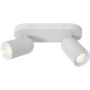 Lucide PUNCH 13958/02/31 Reflektor 2x35w/gu10 ip20