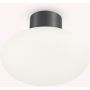 Ideal Lux CLIO 148861 Stropna svjetiljka 1x42W/E27 ip44