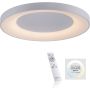 Paul Neuhaus ANIKA 14327-16 Plafonjera 1x60W/LED 2700-5000k 6600lm ip20