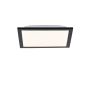 Paul Neuhaus FLAT 14740-18 LED panel 1x6W/LED 3000K 485LM IP20