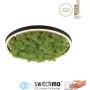 Paul Neuhaus GREEN RITUS 15391-66 Stropna svjetiljka 1x20W/LED 3000k 630lm ip20