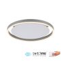 Paul Neuhaus RITUS 15391-95 Plafonjera 1x20W/LED 3000K 900LM IP20