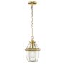 Cosmolight WHITLEY P01064AU Visilica 1x60W/E27 ip23
