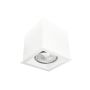 Antigo Cage 1079 Natkriveno downlight svjetlo 1x10W/GU10 IP20
