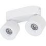 TK Lighting SPARK 18171 Reflektor 2x10W/LED 3000/4000/6000 K 965lm IP20