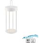 Paul Neuhaus ANSELM 19300-16 Stolna svjetiljka 1x1,5W/LED 2700k 130lm ip44
