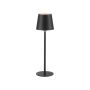 Paul Neuhaus BOTERIA 19251-18 Stolna svjetiljka 1x2,5W/LED 3000K 180lm IP20