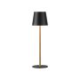 Paul Neuhaus EURIA 19250-68 Stolna svjetiljka 1x2,5W/LED 3000K 180lm IP20