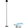 Paul Neuhaus EURIA 19252-18 Stojeca svjetiljka 1x2,5W/LED 3000k 320lm ip54