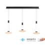 Paul Neuhaus LAUTADA 2081-18 Visilica 3x7,5W/LED 3000K 1800LM IP20
