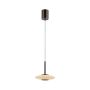 Paul Neuhaus PURE VITRUM 2053-34 Visilica 2x10W/LED 2700K 530lm IP20