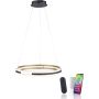 Paul Neuhaus Q-BELUGA 2051-60 Visilica 1x62W/LED 2700-5000k 6900lm ip20