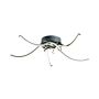 Zuma Line FOCUS 20023-5CCH Stropna svjetiljka 1x35W/LED 3000K|4000K|6000K 2300lm IP20