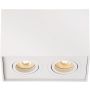 Lucide TUBE 22953/02/31 Natkriveno downlight svjetlo 2x50w/gu10 ip20