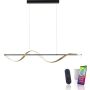 Paul Neuhaus Q-SWING 2385-13 Visilica 1x28W/LED 2700-5000k 3100lm ip20