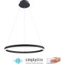 Paul Neuhaus TITUS 2382-13 Visilica 1x44W/LED ip20