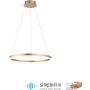 Paul Neuhaus TITUS 2382-60 Visilica 1x44W/LED 3000k 5250lm ip20