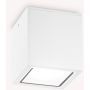 Ideal Lux TECHO 251523 Natkriveno downlight svjetlo 1x20W/GU10 ip54