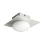 Prezent CUSCO 25098 Plafonjera 1x33W/G9 IP44