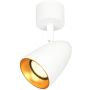 Italux Tino SPL-36748-1R-WH-GD Reflektor 1x10W/GU10 IP20