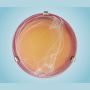 Eglo SAMOA 27883 Plafonjera 1x60W/E27