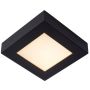 Lucide BRICE-LED 28117/17/30 Stropna svjetiljka 1x15w/led 3000k 800lm ip44