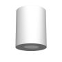 Antigo Point 1257 Natkriveno downlight svjetlo 1x10W/GU10 IP44