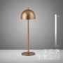 Paul Neuhaus BELLIS 19244-12 Stolna svjetiljka 1x2,5W/LED 3000k 210lm ip54