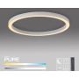 Paul Neuhaus PURE LINES ROUND 6306-16 Stropna svjetiljka 1x42W/LED 2200-5000k 4300lm ip20