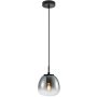 Italux Antita PND-3650-1S-BK-CSG Visilica 1x40W/LED IP20