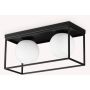 Ideal Lux LINGOTTO 304137 Stropna svjetiljka 2x28W/E14 ip20
