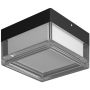 Italux Nefis PLF-53628-BK Stropna svjetiljka 1x9W/LED IP65