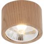 Zuma Line OAK 3010103 Natkriveno downlight svjetlo 1x15W/GU10 Es111 IP20