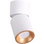 Polux NIXA 314260 Natkriveno downlight svjetlo 1x10W/GU10 IP20
