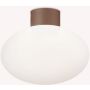 Ideal Lux CLIO 326795 Stropna svjetiljka 1x42W/E27 ip44