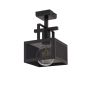 Sigma Lighting ALBERT 32178 Stropna svjetiljka 1x60W/E27