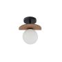 Sigma Lighting MIRROR 33300 Stropna svjetiljka 1x12W/G9