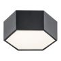 Argon ARIZONA 3824 Plafonjera 1x9W/LED 3000K 1150LM IP20